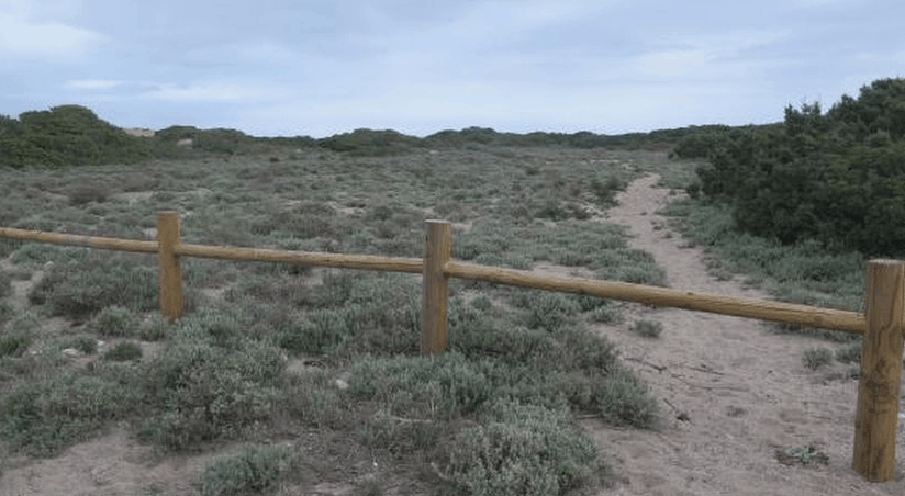 Crímenes sin resolver en El Ejido - Misterios de Almería 4 Crímenes sin resolver en El Ejido - Misterios de Almería 3